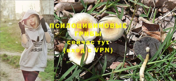 гашишное масло Алзамай