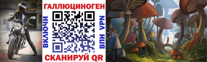 МЕГА вход  Менделеевск  Галлюциногенные грибы прущие грибы 