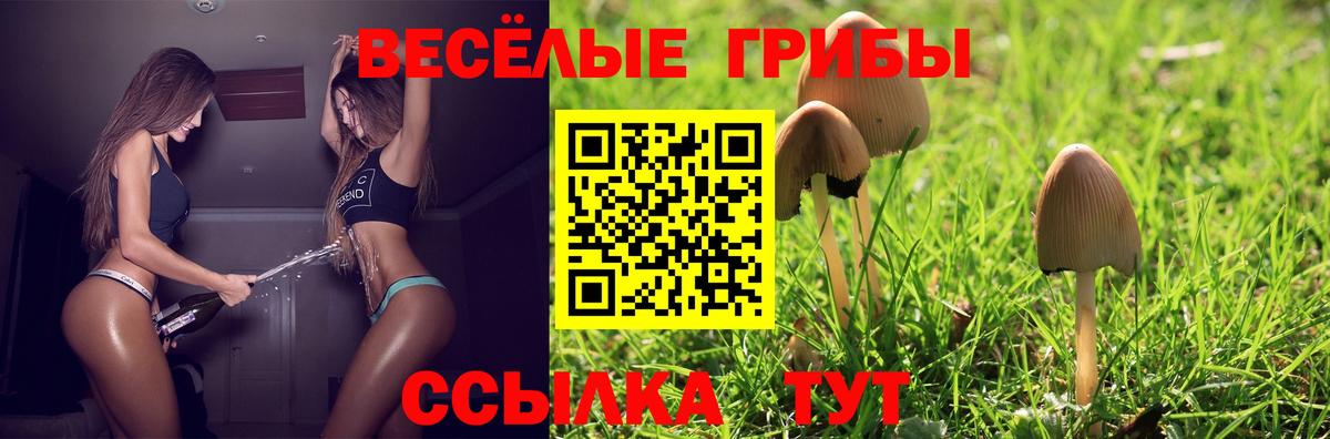 Галлюциногенные грибы GOLDEN TEACHER  Вход с VPN  Менделеевск  сколько стоит  Псилоцибиновые грибы мухоморы 